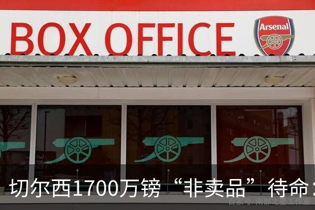 切尔西1700万镑“非卖品”待命：大马丁伤退，冬窗会补门将吗？